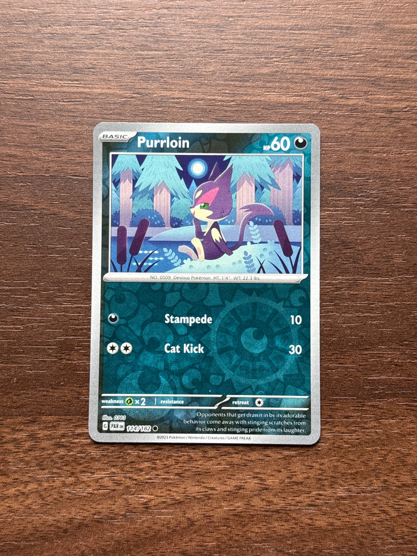 114/182 | Purrloin Rev Holo | Paradox Rift