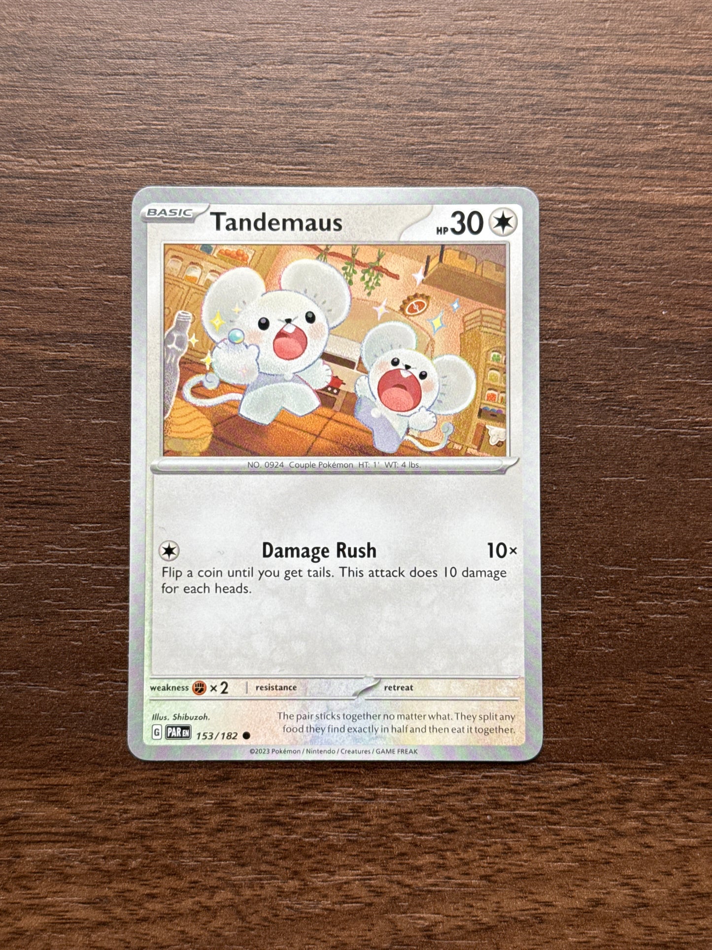 153/182 | Tandemaus Common | Paradox Rift