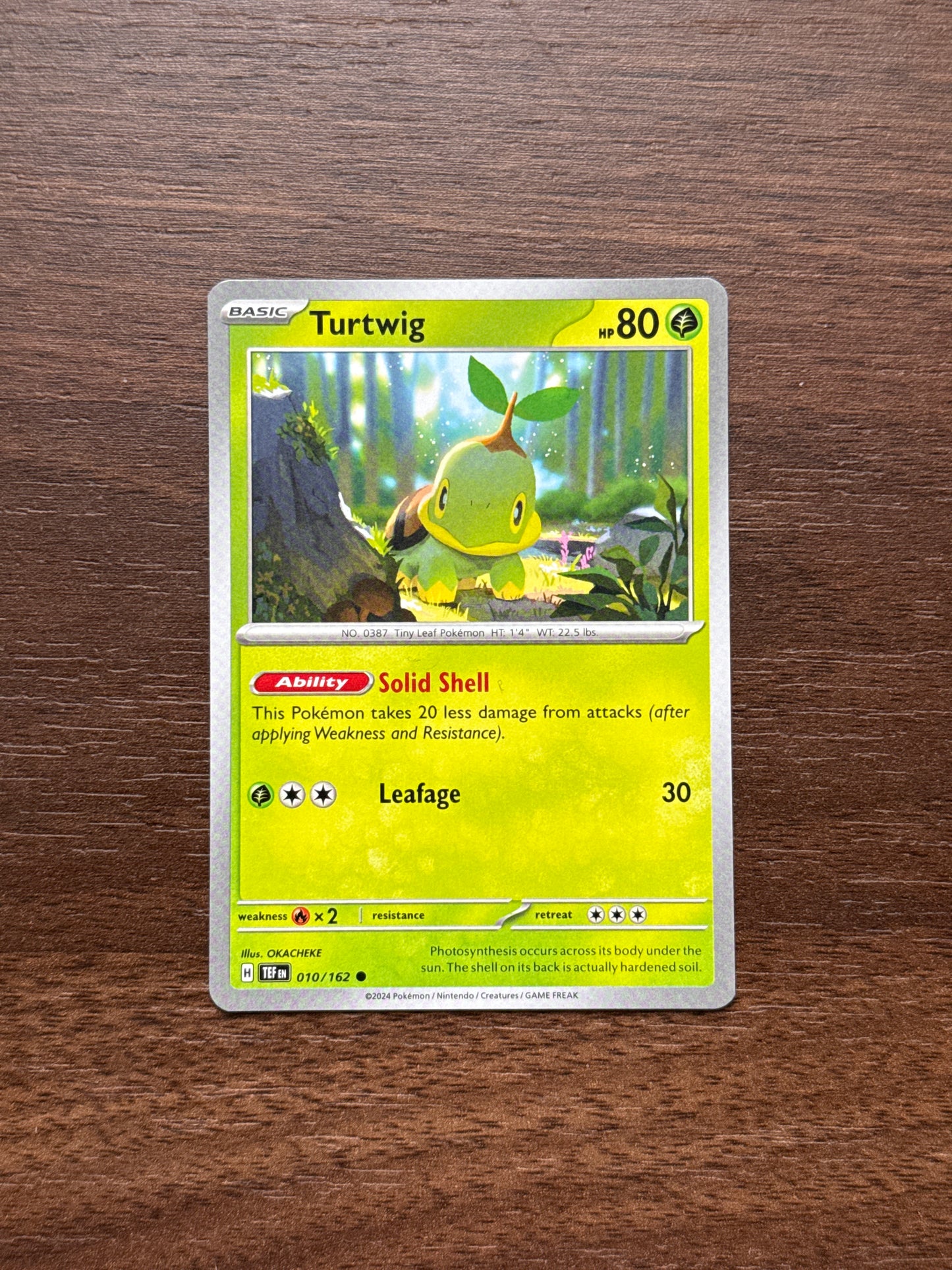 010/162 | Turtwig Common | Temporal Forces