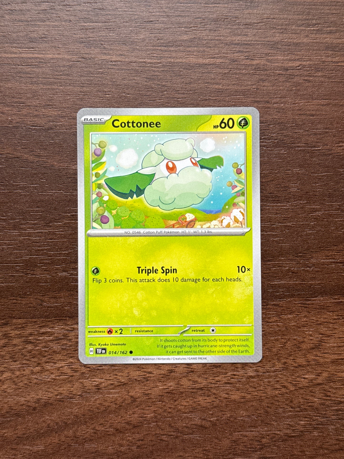 014/162 | Cottonee Common | Temporal Forces