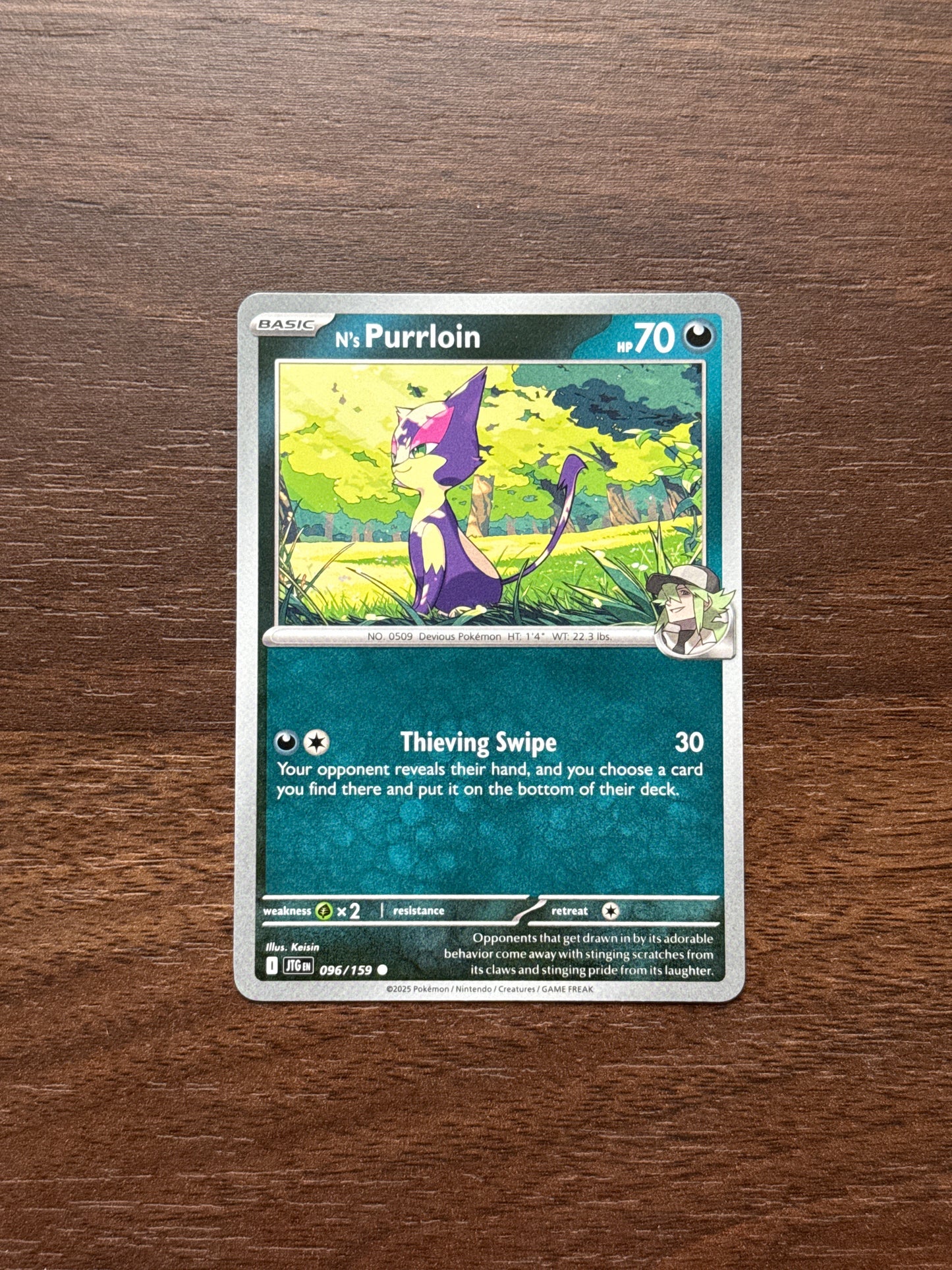 096/159 | N's Purrloin Common | Journey Together