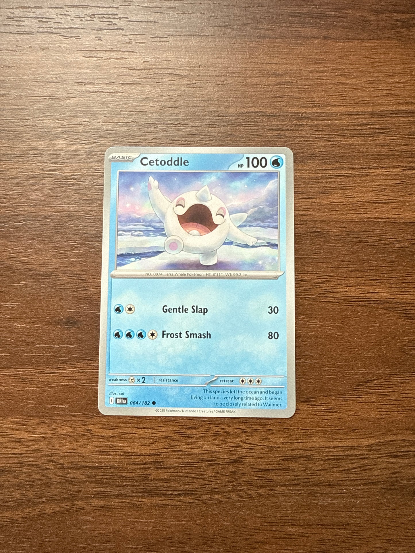 064/182 | Cetoddle Common | Destined Rivals