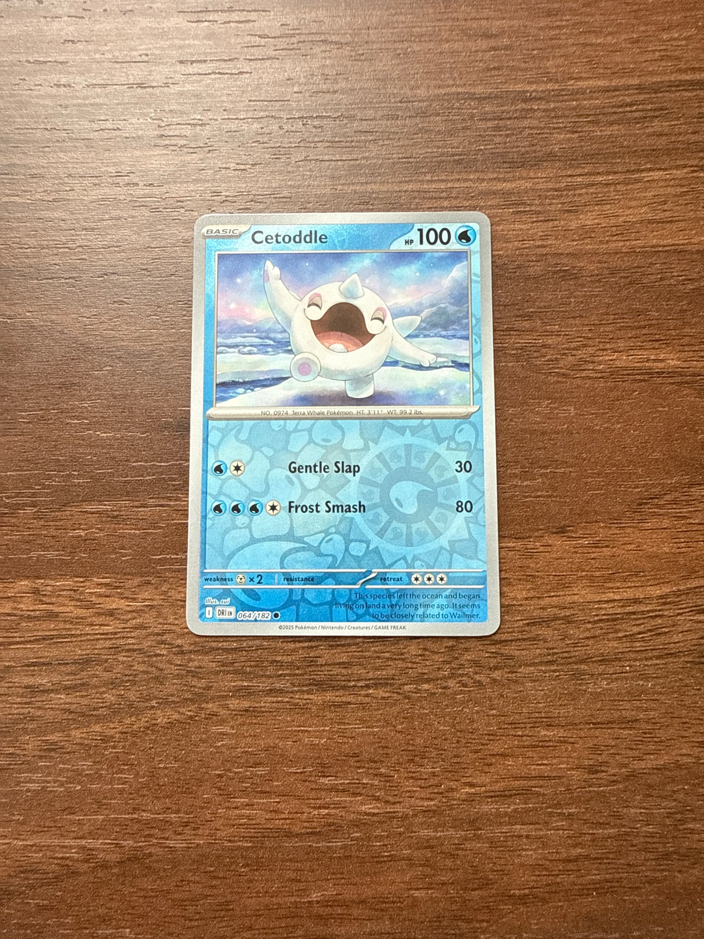 064/182 | Cetoddle Rev Holo | Destined Rivals