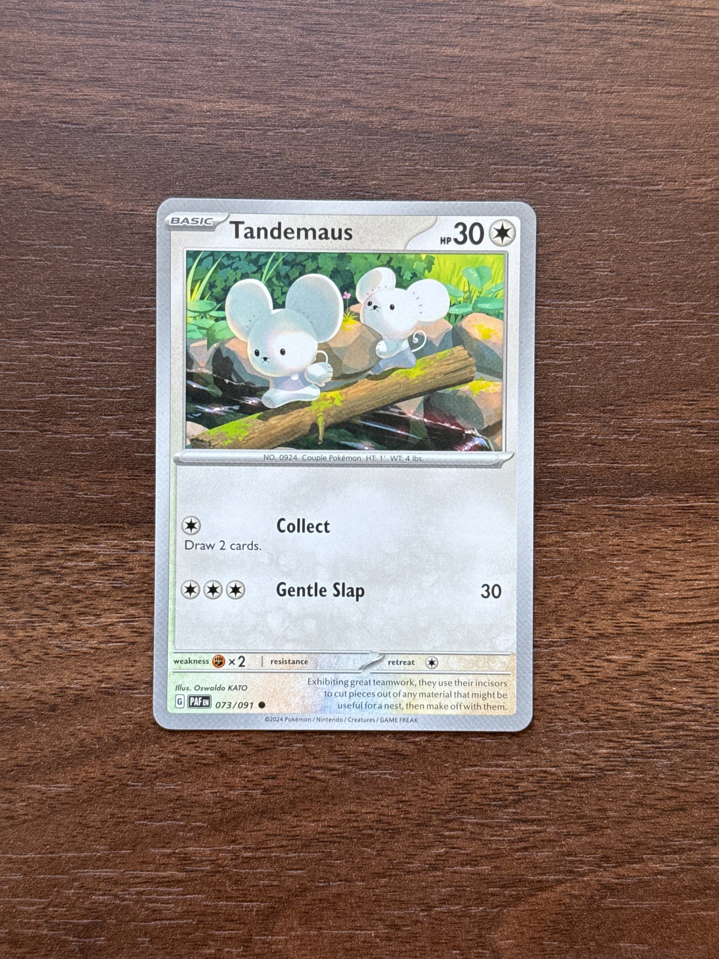 073/091 | Tandemaus Common | Paldean Fates