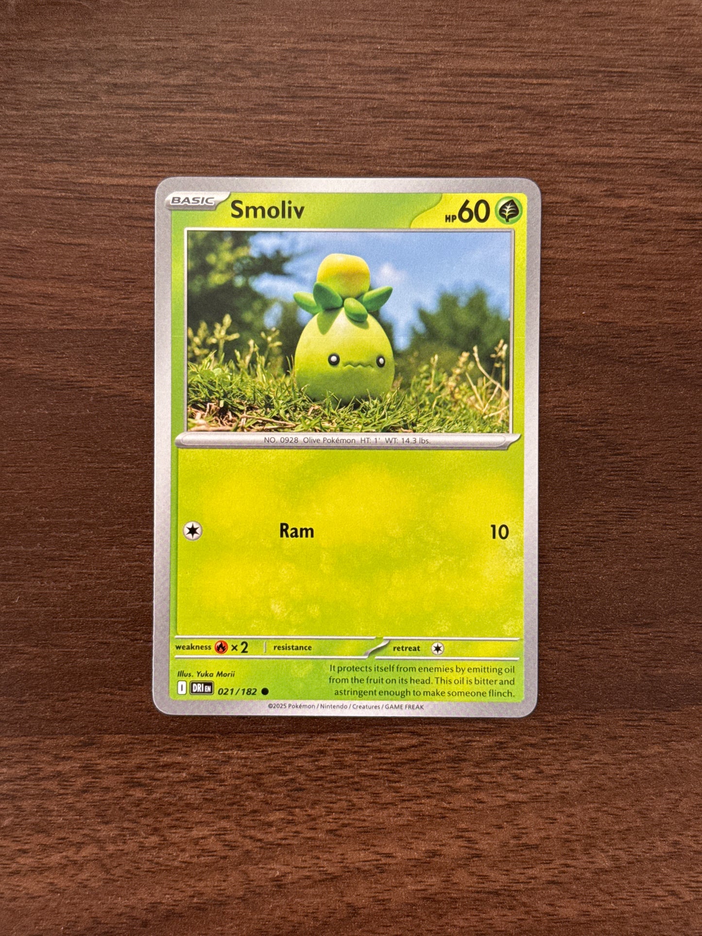 021/182 | Smoliv Common | Destined Rivals