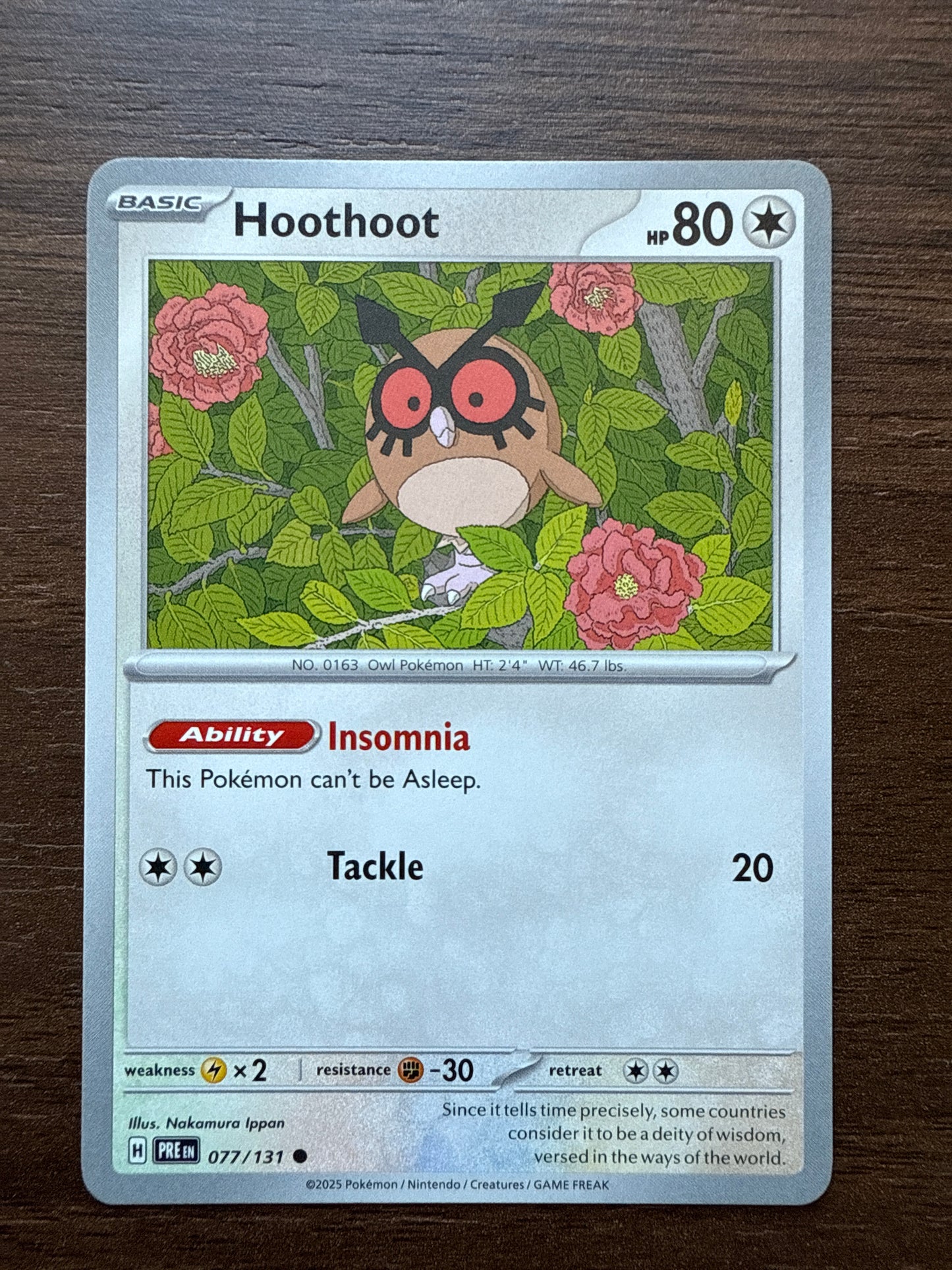 Hoothoot Common | Prismatic Evolutions | 077/131