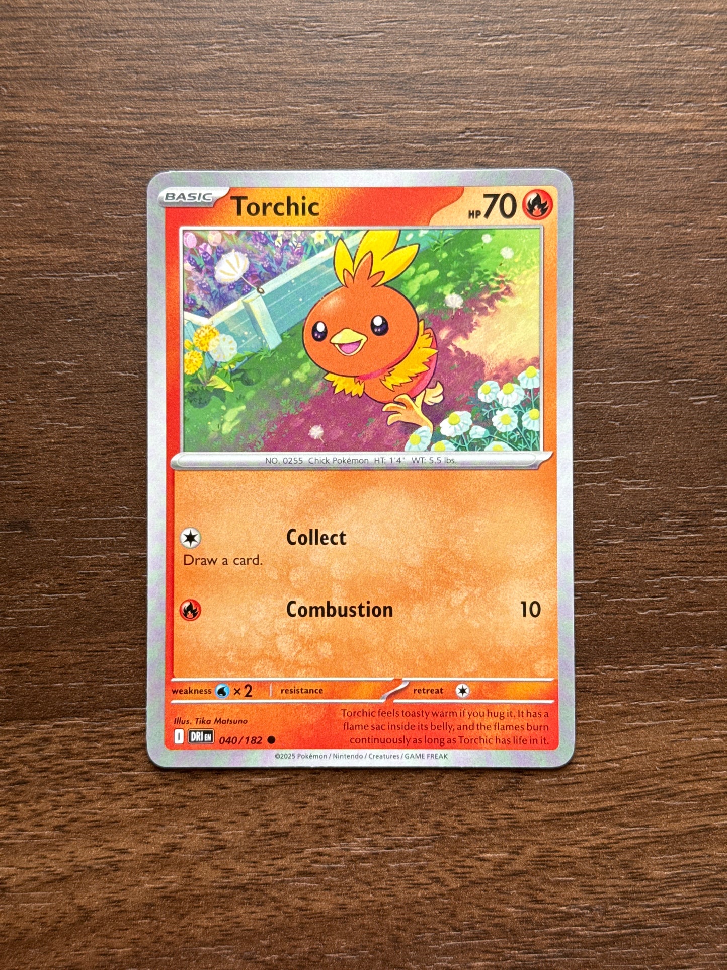 040/182 | Torchic Common | Destined Rivals