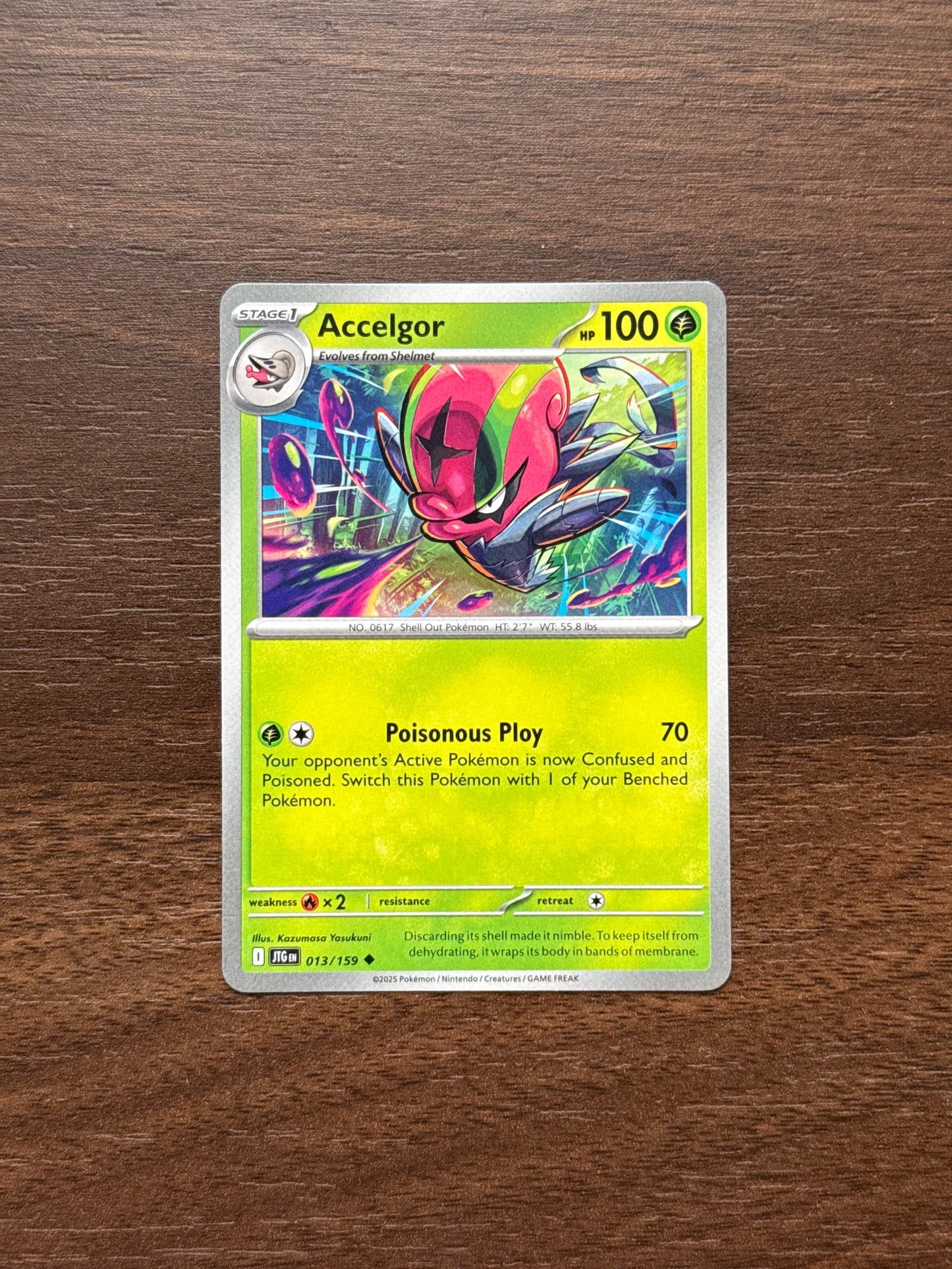 013/159 | Accelgor Common | Journey Together