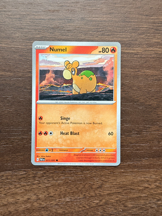 011/091 | Numel Common | Paldean Fates
