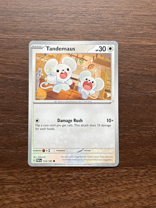153/182 | Tandemaus Common | Paradox Rift