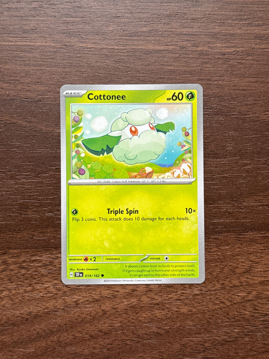 014/162 | Cottonee Common | Temporal Forces