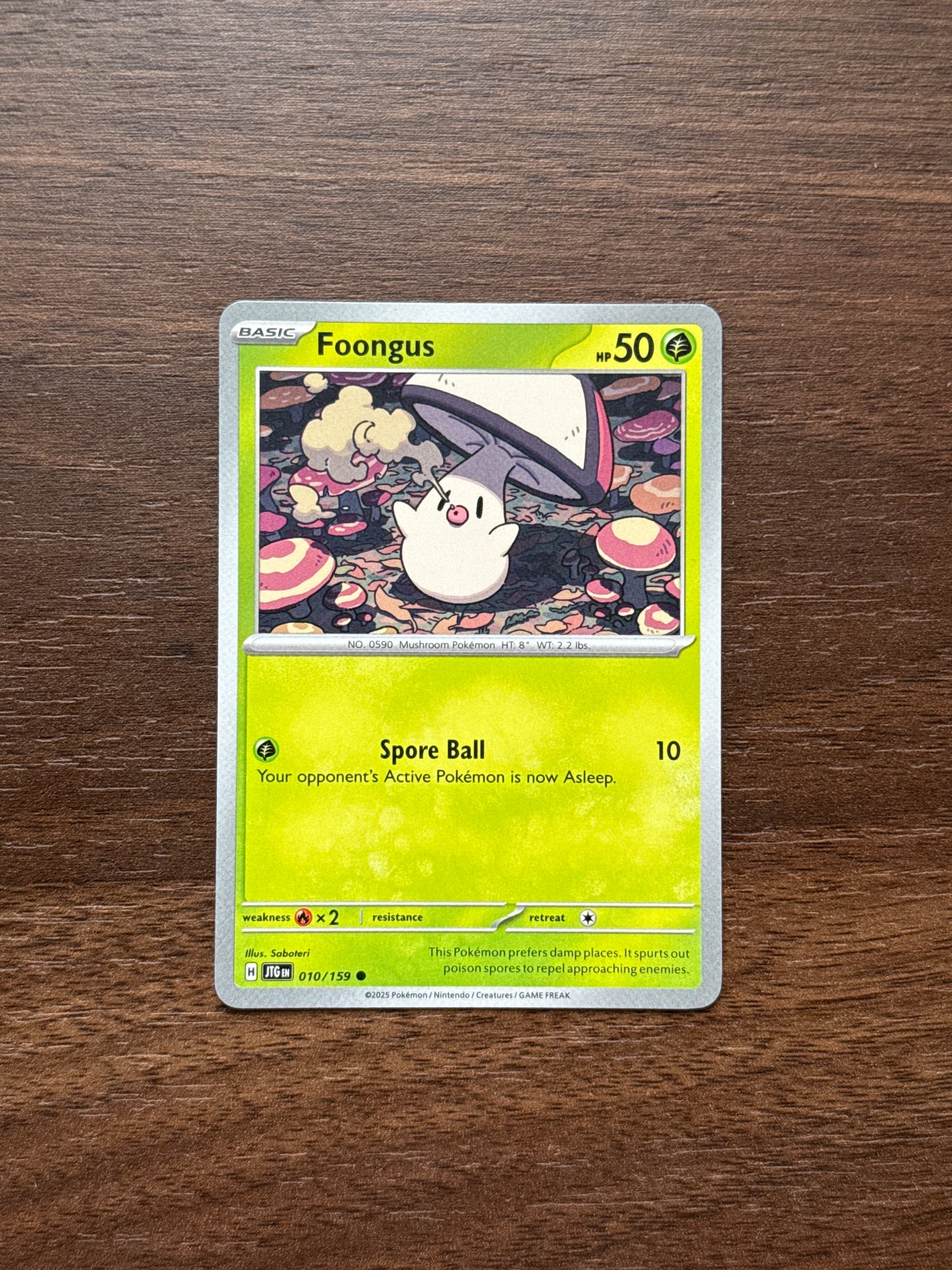 010/159 | Foongus Common | Journey Together